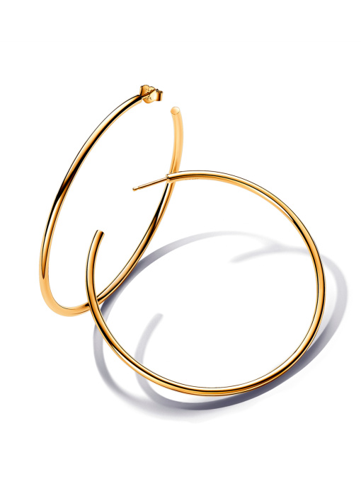 Серьги-кольца PANDORA Essence модель 263312C00 Фото