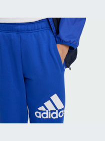 Брюки Adidas модель IV7326-KZ Фото