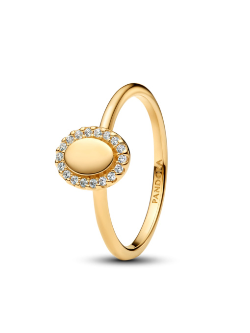 С камнями PANDORA Timeless модель 163800C01 Фото