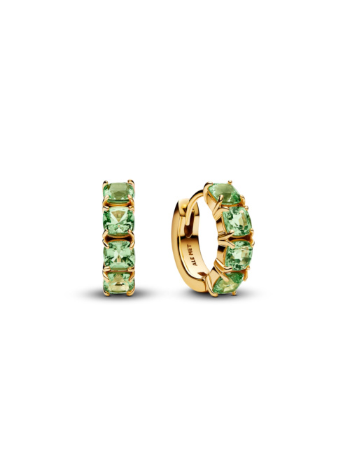 Серьги-кольца PANDORA Timeless модель 263851C01 Фото