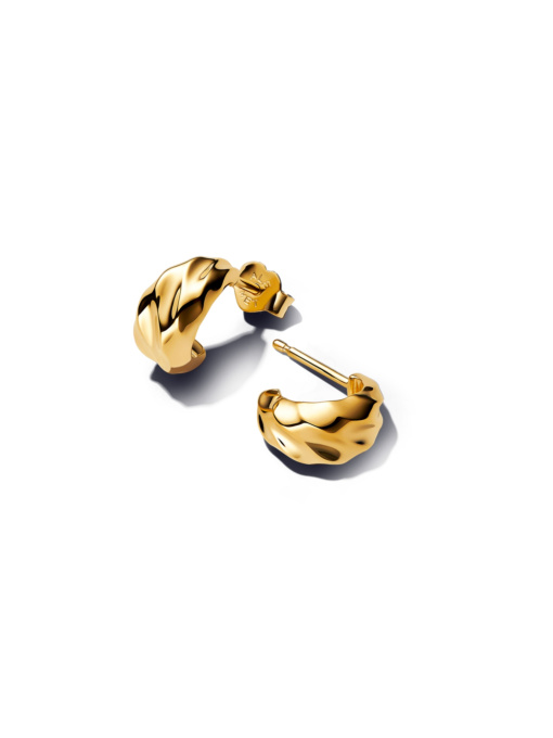 Серьги-кольца PANDORA Essence модель 263873C00 Фото