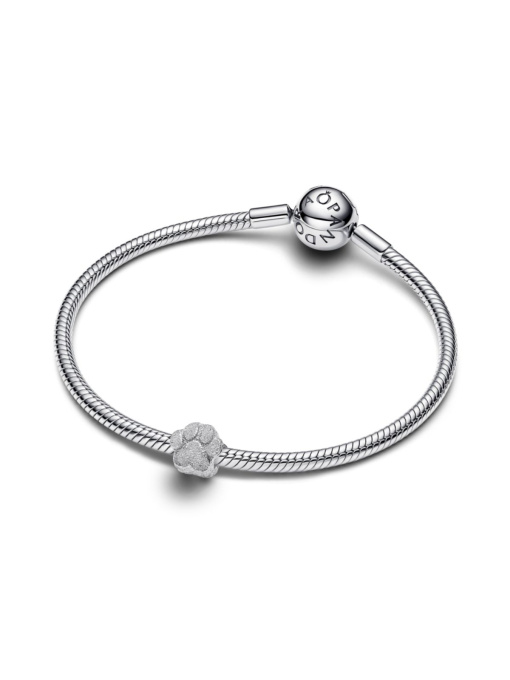 Классические PANDORA модель 794043C00 Фото