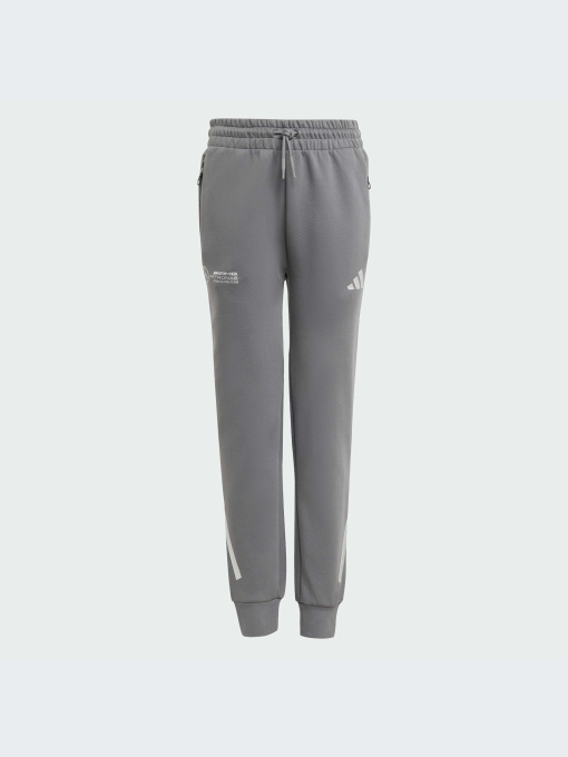 Брюки Adidas модель JW8510-KZ Фото