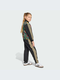Костюмы Adidas Graphics модель KD5937-KZ Фото