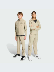 Брюки Adidas ZNE модель KC1957-KZ Фото