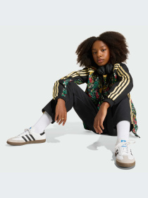 Худи и свитшоты Adidas Graphics модель KD5938-KZ Фото
