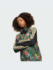 Худи и свитшоты Adidas Graphics модель KD5938-KZ Фото