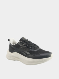 Кроссовки Reebok ANES RUN I модель 102025269 Фото