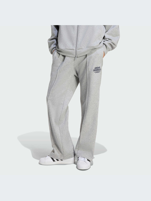 Брюки Adidas Graphics модель KE2241-KZ Фото