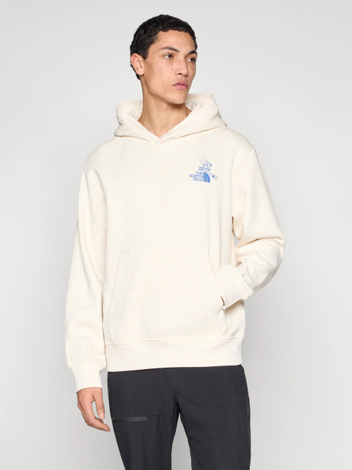 Худи и свитшоты The North Face модель NF0A8GB9QLI1 Фото