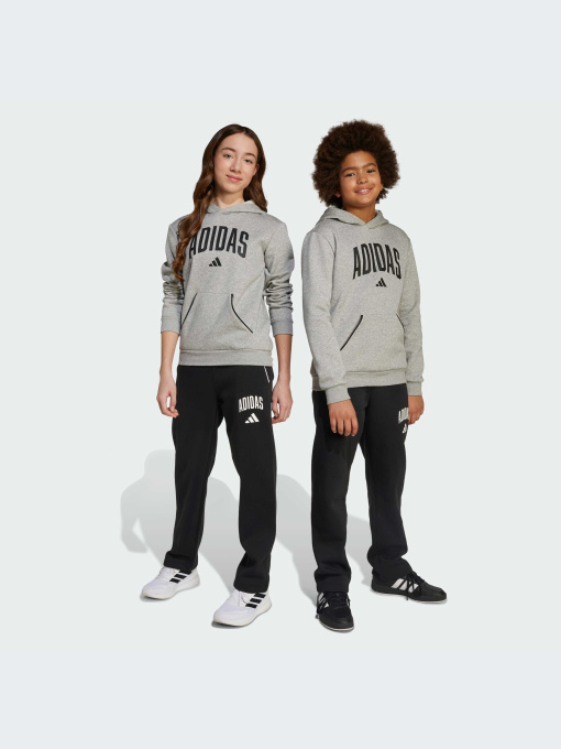 Брюки Adidas модель JM1538-KZ Фото