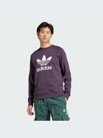 Худи и свитшоты Adidas Adicolor модель IZ2358-KZ Фото