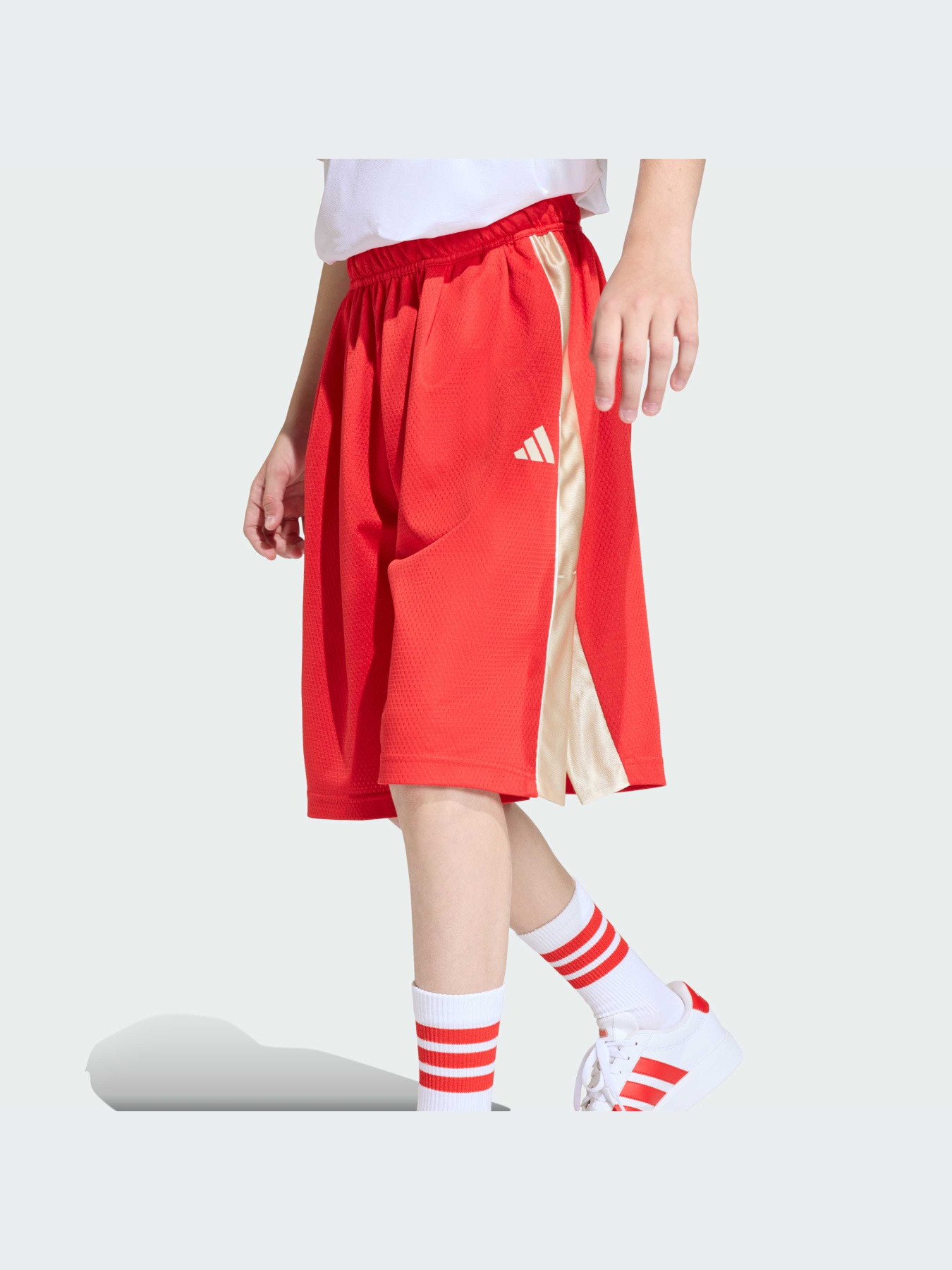Шорты Adidas модель KD3409-KZ Фото