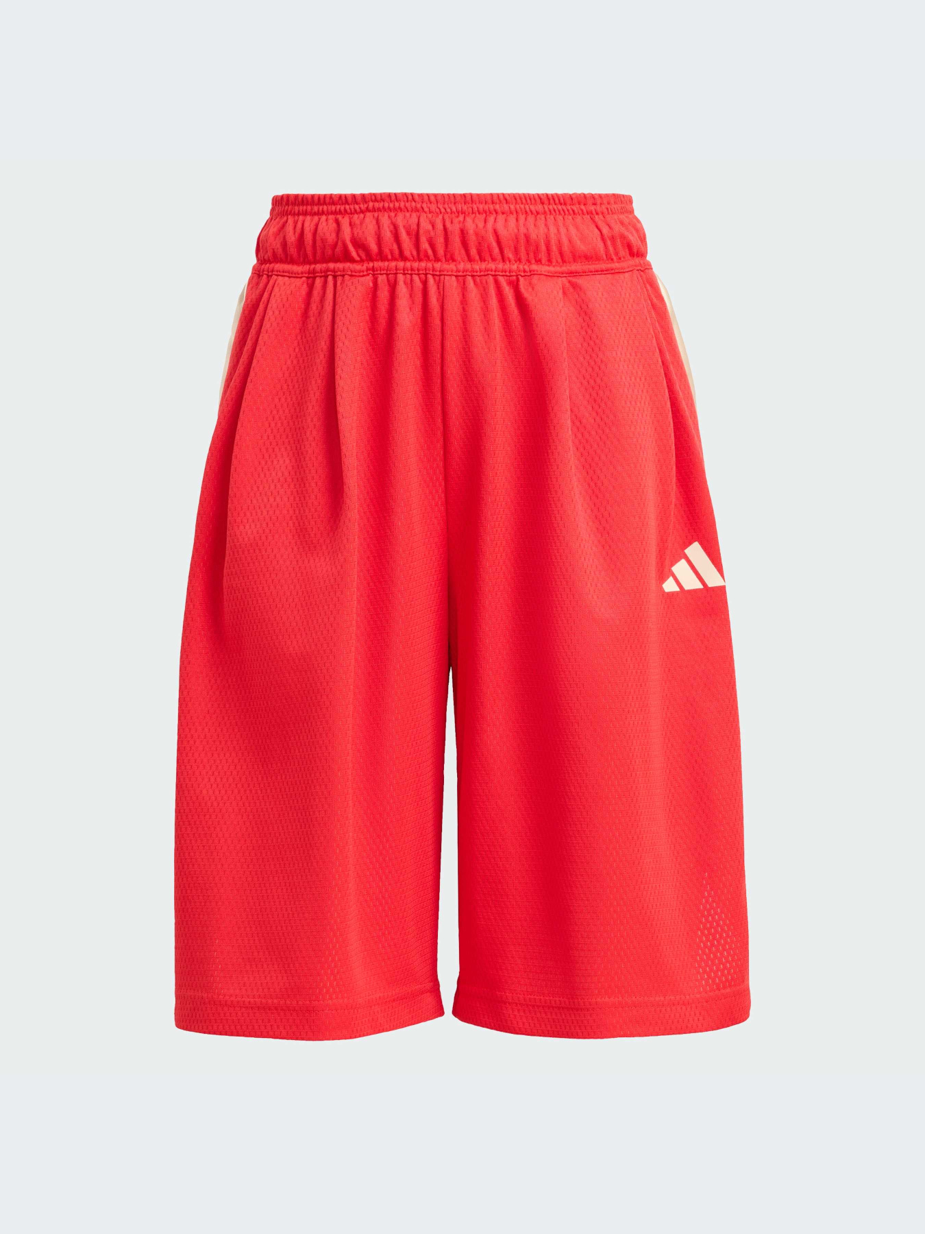 Шорты Adidas модель KD3409-KZ Фото