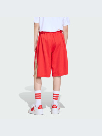 Шорты Adidas модель KD3409-KZ Фото