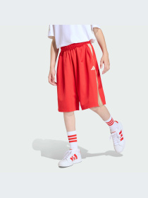 Шорты Adidas модель KD3409-KZ Фото