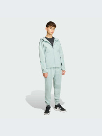 Худи и свитшоты Adidas ZNE модель KD8561-KZ Фото