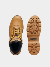 Ботинки и сапоги PUMA Desierto v3 Puretex модель 102117548 Фото