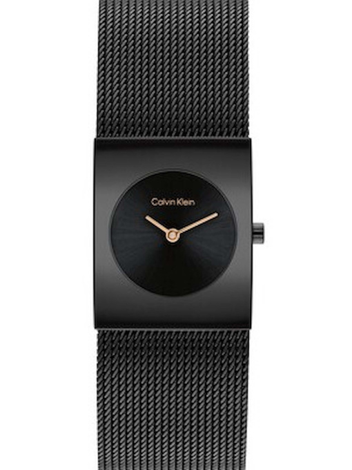 Часы Calvin Klein модель 25100138 Фото