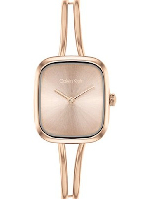 Часы Calvin Klein модель 25100133 Фото