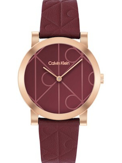 Часы Calvin Klein модель 25100130 Фото
