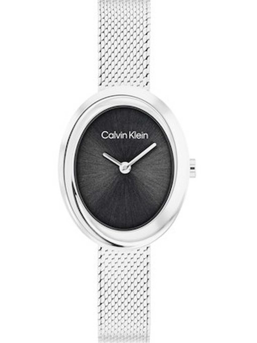 Часы Calvin Klein модель 25100151 Фото