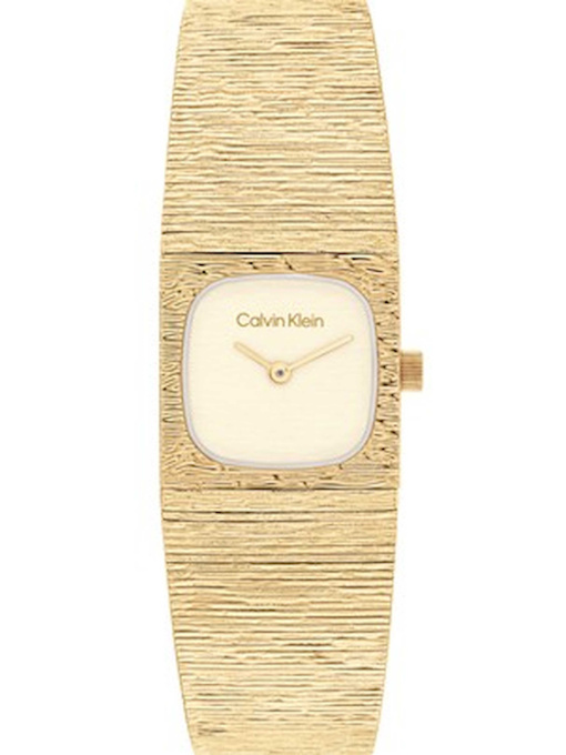 Часы Calvin Klein модель 25100178 Фото