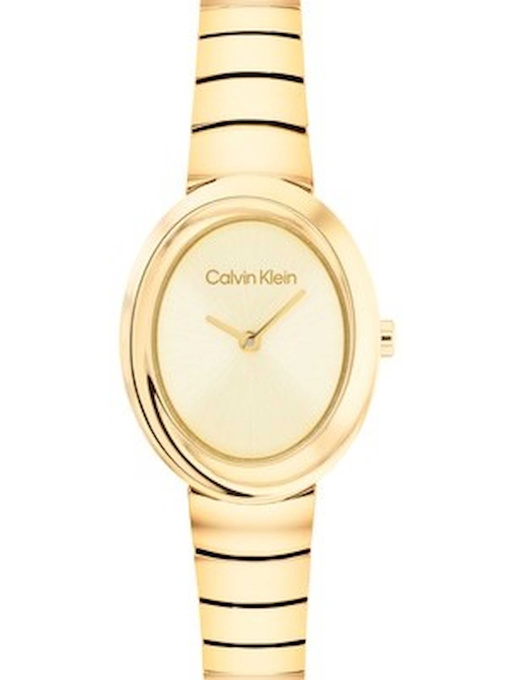 Часы Calvin Klein модель 25100147 Фото