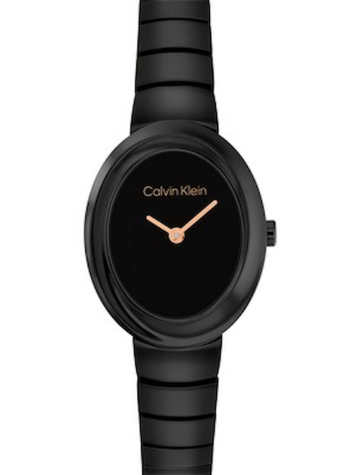 Часы Calvin Klein модель 25100150 Фото