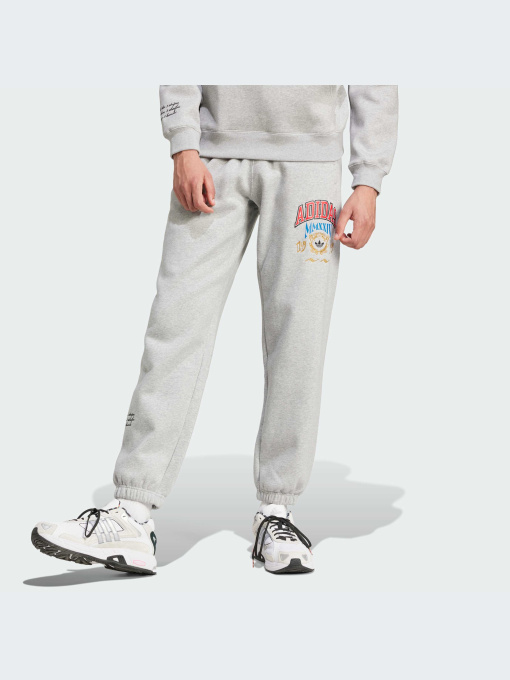 Брюки Adidas Graphics модель IX6774-KZ Фото
