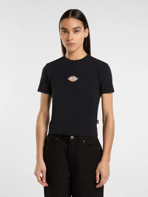 Футболки и поло Dickies модель DK0A4ZAOBLK1 Фото