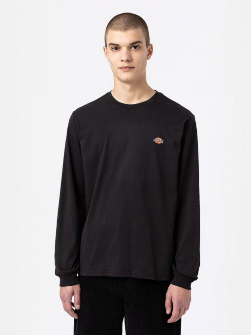 Футболки и поло Dickies модель DK0A4Y4RBLK1 Фото