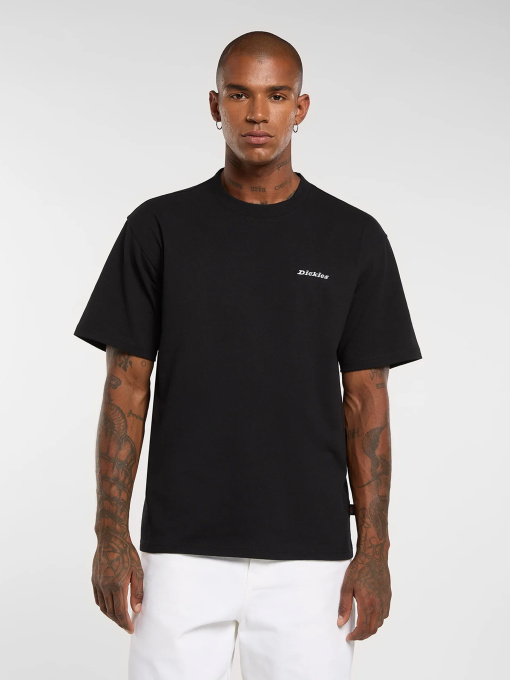Футболки и поло Dickies модель DK0A89ENBLK1 Фото