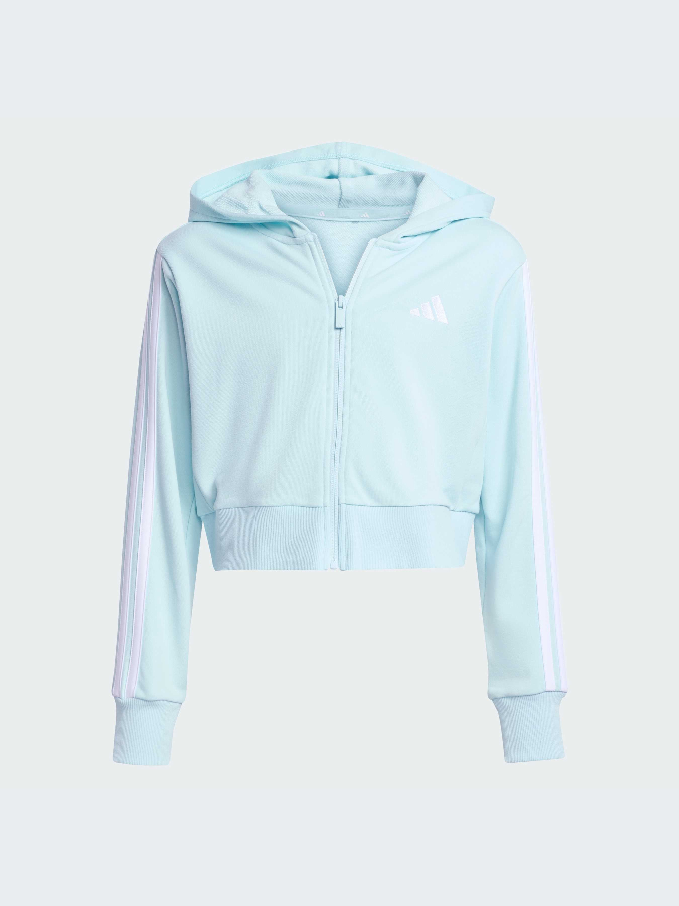 Худи и свитшоты Adidas Adidas Essentials модель JY4984-KZ Фото