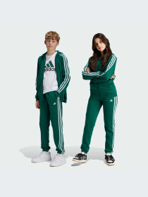 Брюки Adidas Adidas Essentials модель JJ3188-KZ Фото