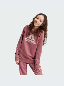 Худи и свитшоты Adidas Adidas Essentials модель IZ3434-KZ Фото