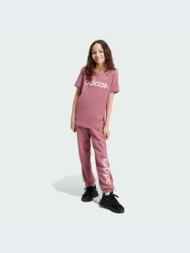 Брюки Adidas Adidas Essentials модель IZ3432-KZ Фото