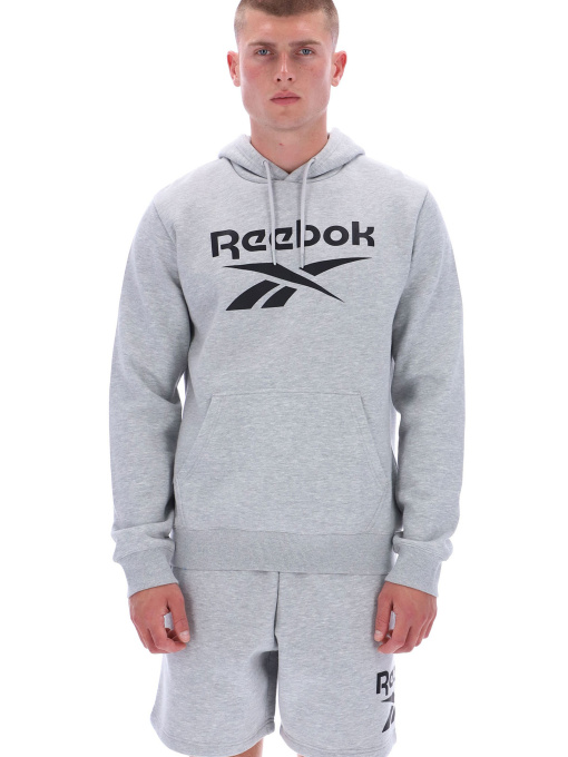 Худи и свитшоты Reebok VICTOR BIG LOGO PULLOVER модель 102248295 Фото