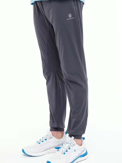 Брюки Lumberjack ML TED 22PRF2012 4PR модель 101744845 Фото