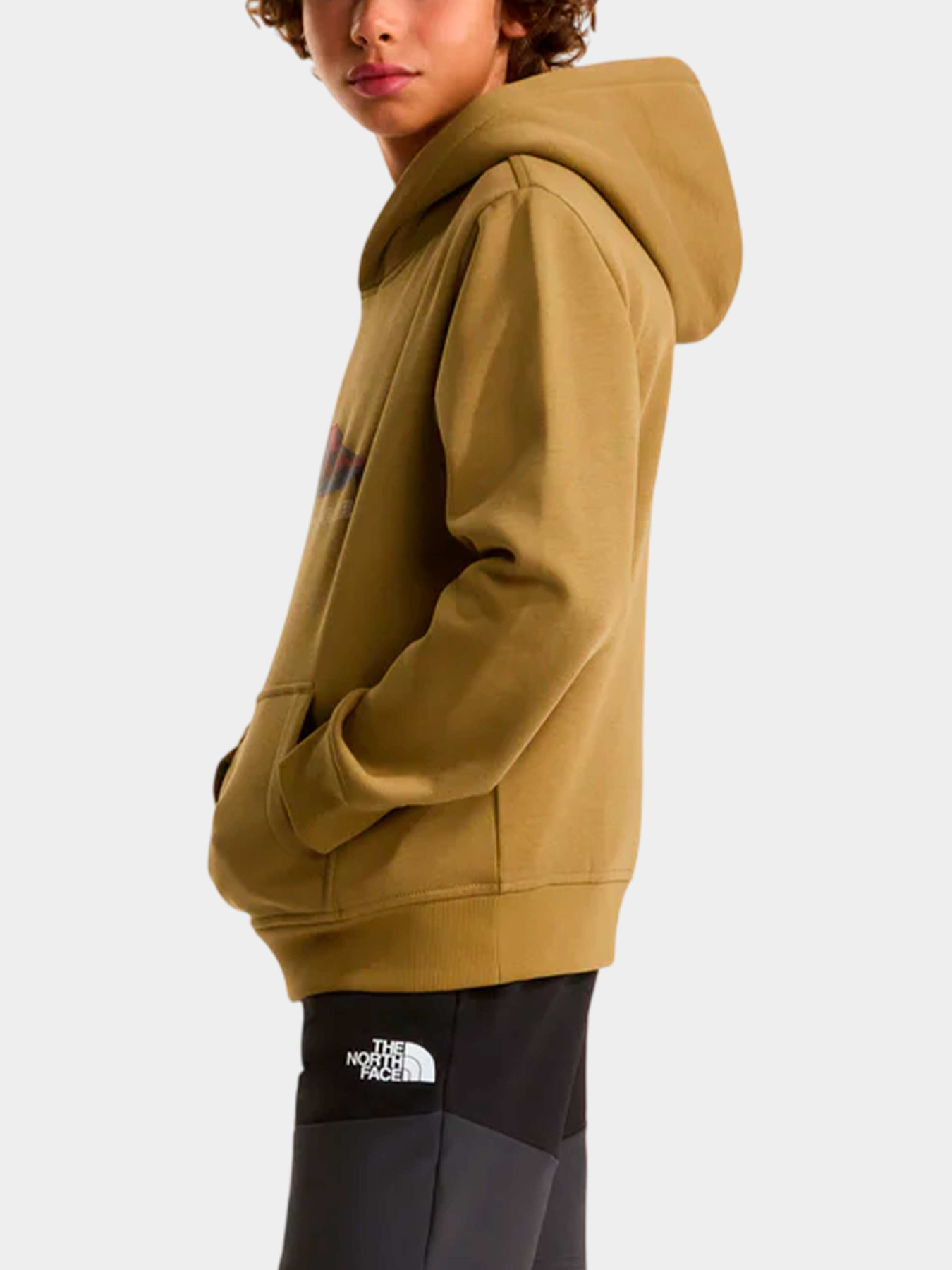 Худи и свитшоты The North Face модель NF0A8G1V2EL1 Фото
