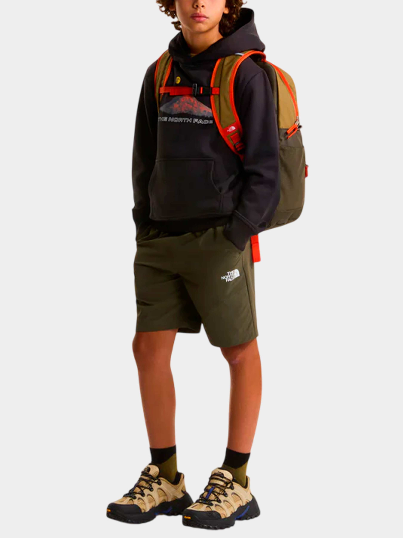 Худи и свитшоты The North Face модель NF0A8G1VJK31 Фото