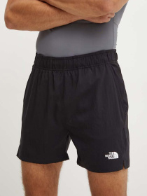 Шорты The North Face модель NF0A882D4H01 Фото