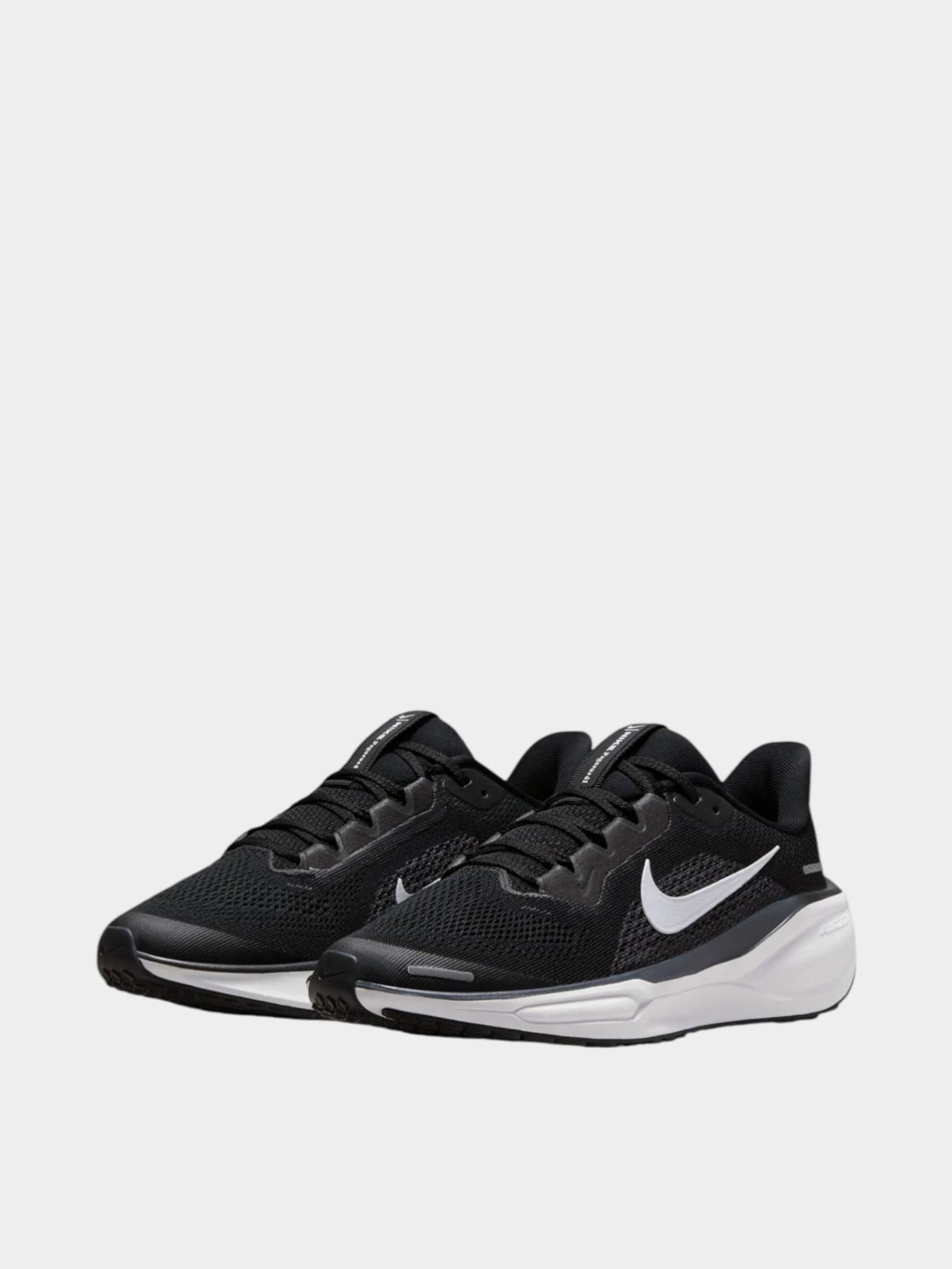 Кроссовки NIKE Nike Air Zoom Pegasus 41 модель 102056364 Фото