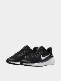 Кроссовки NIKE Nike Air Zoom Pegasus 41 модель 102056364 Фото