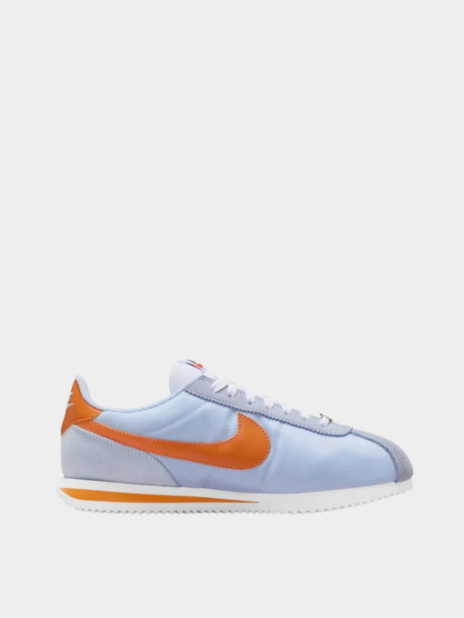 Кроссовки NIKE модель DZ2795-407 Фото
