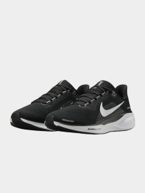 Кроссовки NIKE модель FD2722-002 Фото