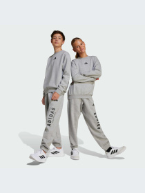 Худи и свитшоты Adidas модель JC7642-KZ Фото