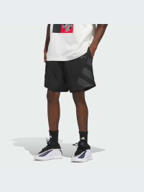 Шорты Adidas модель KH1706-KZ Фото
