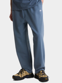 Брюки The North Face модель NF0A8GQH0U31 Фото