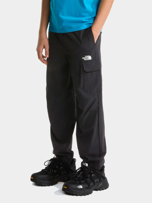 Брюки The North Face модель NF0A8F8QJK31 Фото
